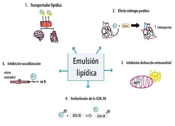 l carnitina en el embarazo pdf Durante 🤰existe una mayor demanda de L-Carnitina. La cual ayuda al adecuado desarrollo del sistema pulmonar de los fetos para evitar el riesgo de que padezcan de dificultad respiratoria al TERAPÉUTICA FETAL NO INVASIVA